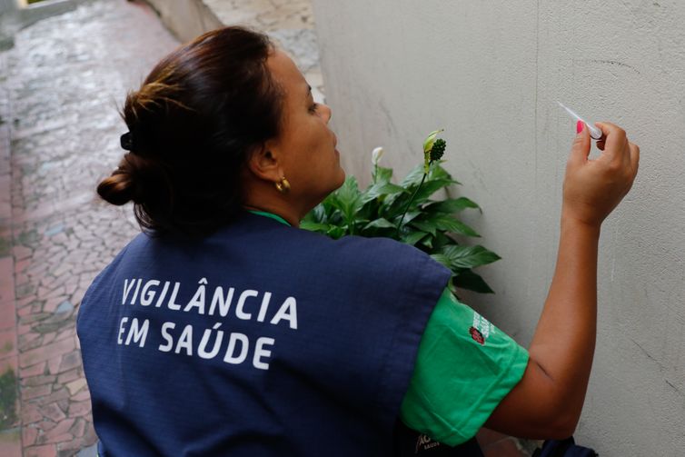 Casos de dengue em 2024 passam de 6,4 milhões; mortes somam 5,9 mil