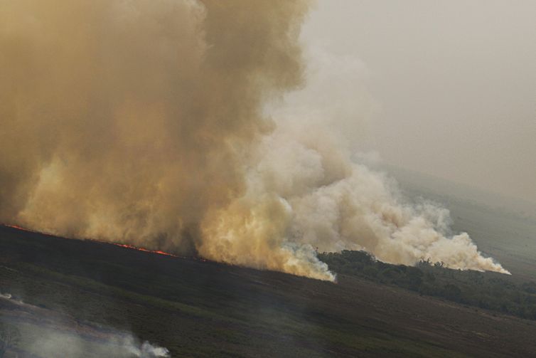 Dino homologa parcialmente plano anti-incêndios na Amazônia e Pantanal